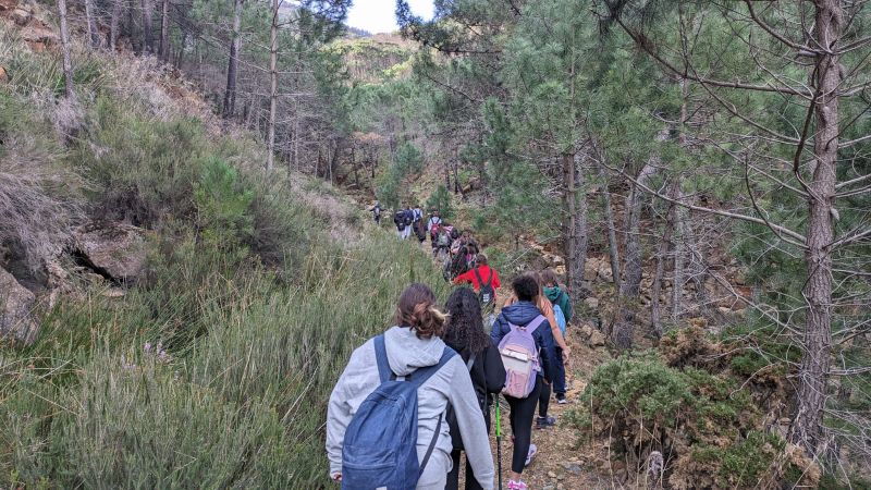 Imagen de WhatsApp 2024 02 07 a las 15.07.02 2064ae18